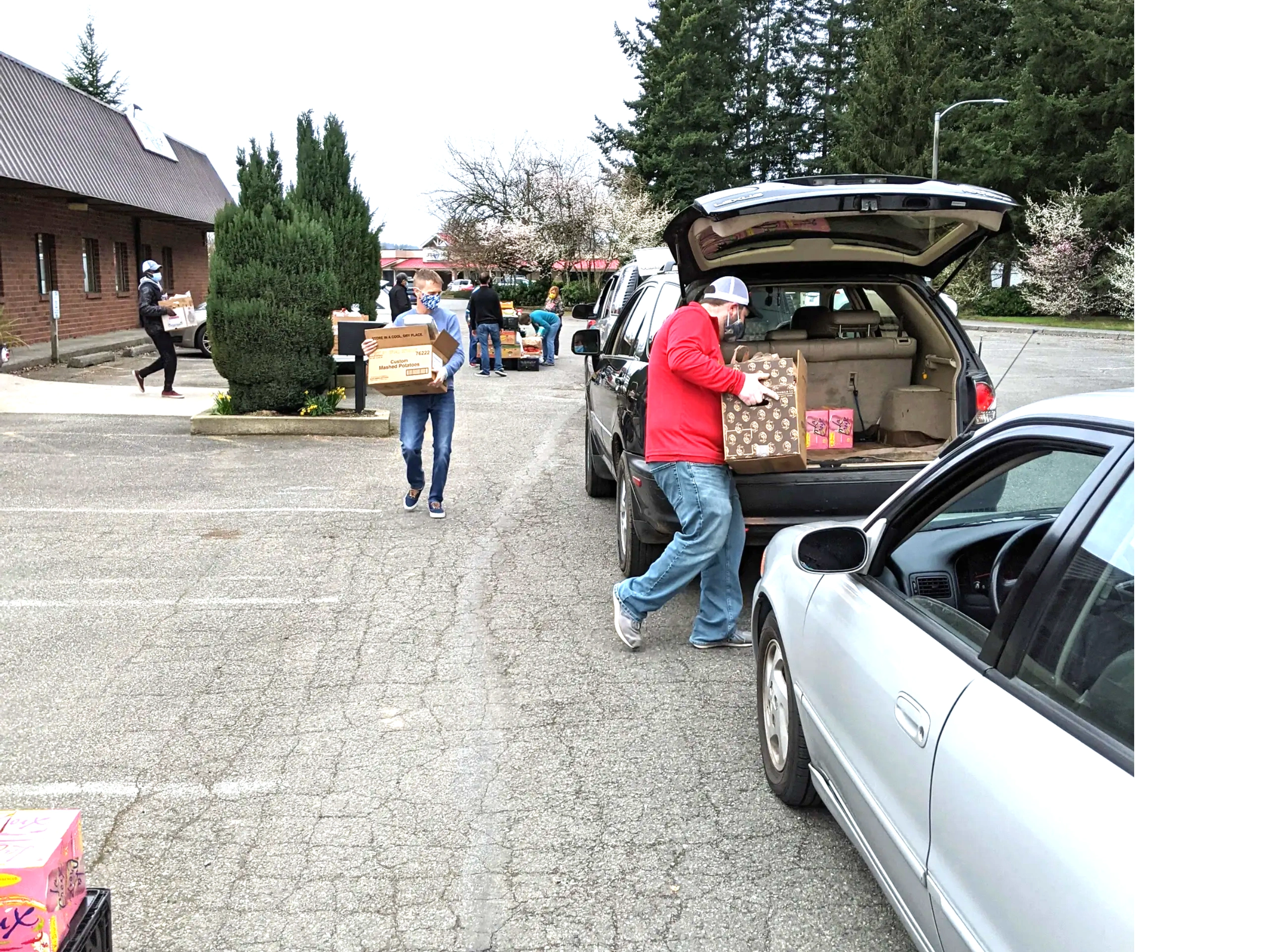 Salt of the Earth volunteers loading donated food boxes into cars during a drive-thru food distribution in Snohomish County